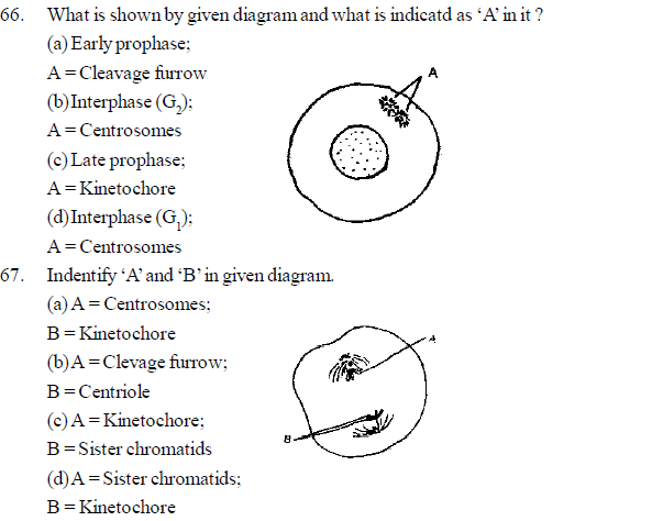 Neet Ug Biology Cell Cycle And Cell Divisions Mcqs Multiple Choice